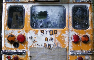 school bus back