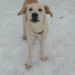 Greta
