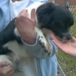 19428_10153172010281125_3824869544299795763_n