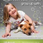 S_iadopt_forspring_2015_poster