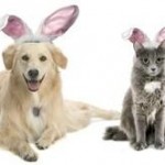 easterdogs20
