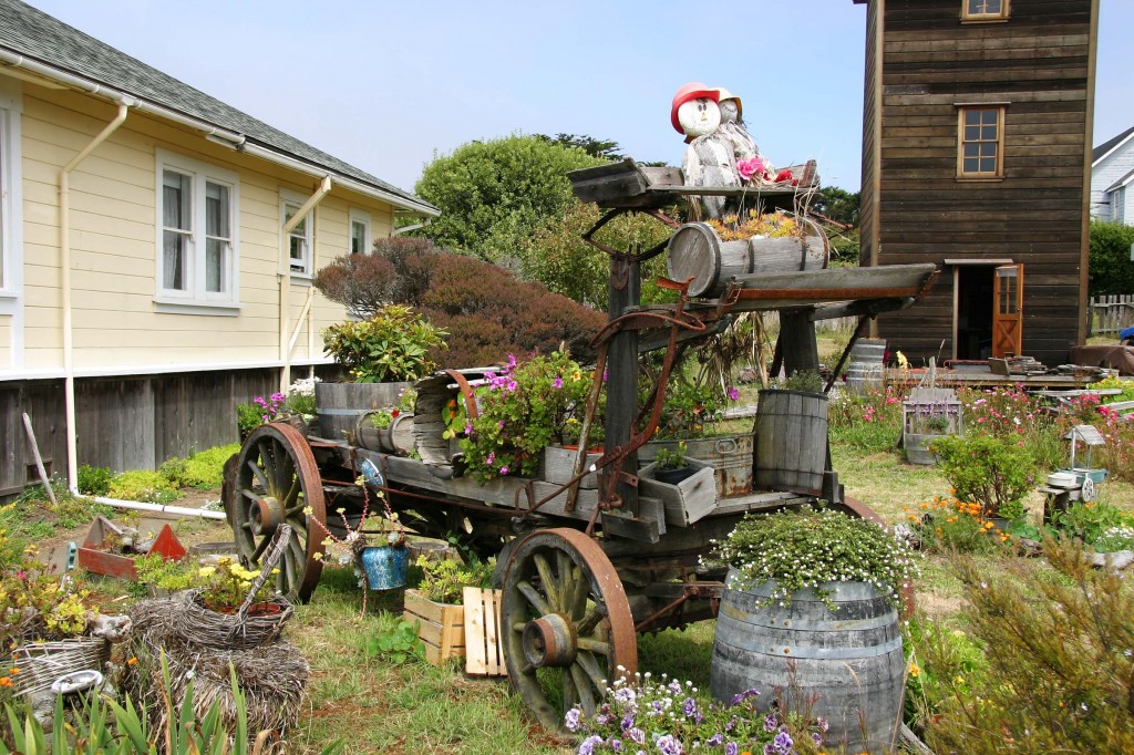 garden