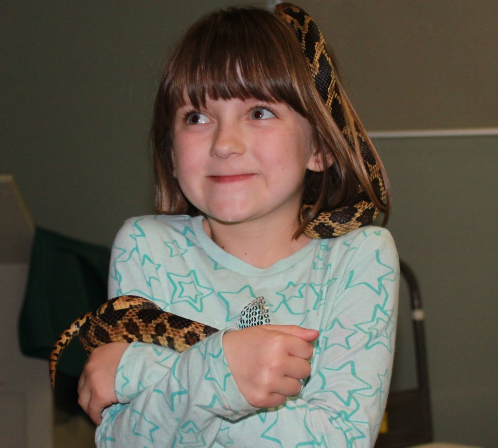 reptiles_at_risk_workshop_sombra_museum_april_22_2015 (2)