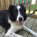 Benny