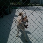 Jack