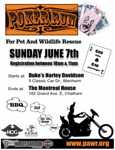 pokerrun