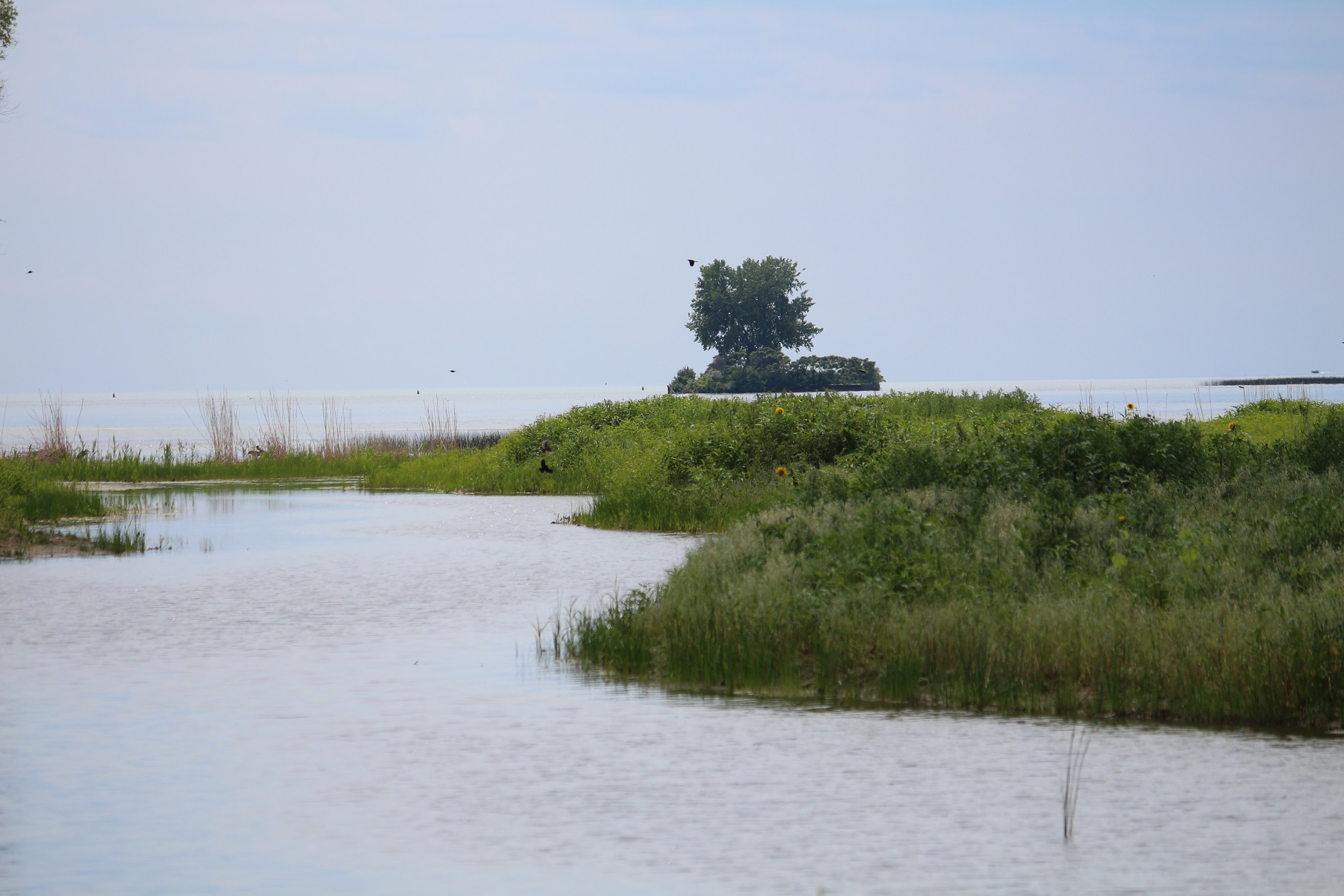 mitchells bay trail