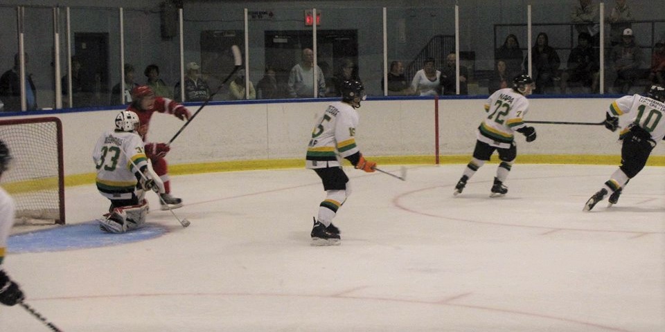 wallaceburg lakers