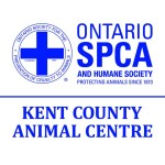 12079634_486744854820686_6094831878054955951_n