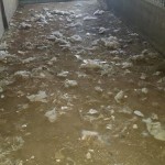 This is where he was found with no food or water.