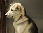 Klondike