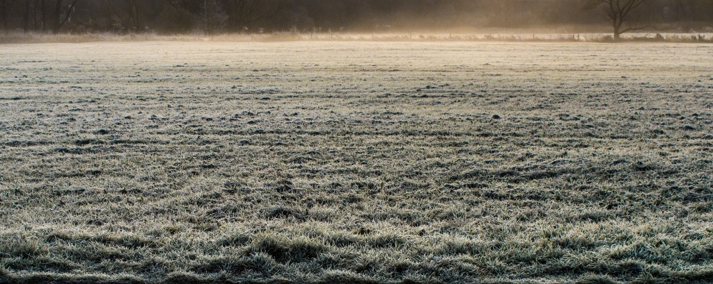 frost