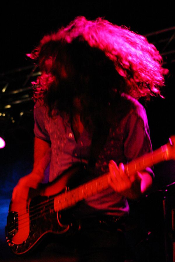 the sheepdogs swomp sarnia 9