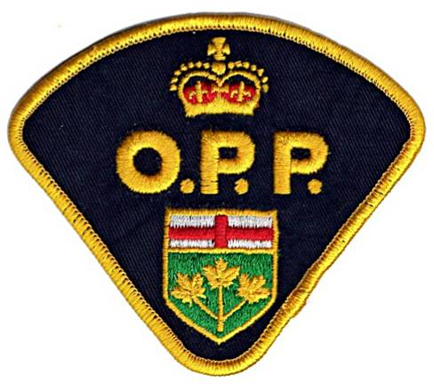 Walpole Island man, Wyoming woman die in 402 crash