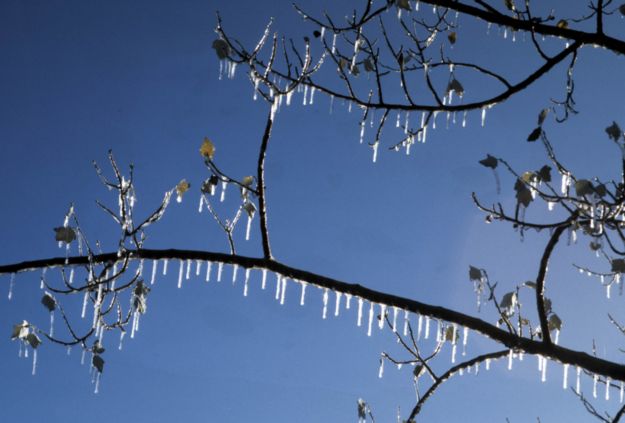 Wind chill warning