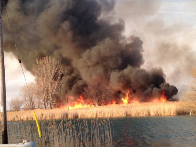 C-K Fire Department comments on marsh fire