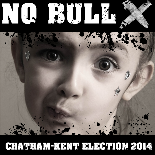 No Bull: Candidates weaknesses