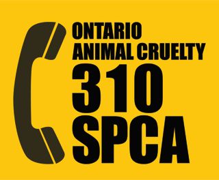 OSPCA reminds us of 310-SPCA