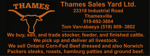 THAMES-SALES-YARD-3