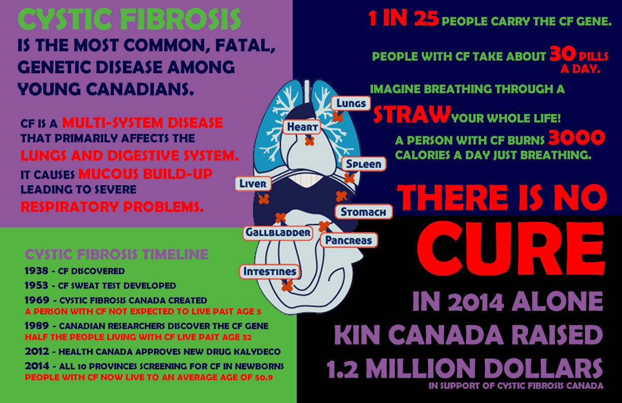 Pumpkinfest Silent Auction