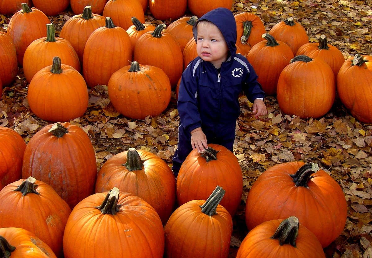 Plenty of family activities planned for Pumpkinfest