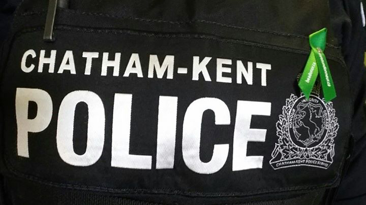 Kawasaki motorcycle stolen in Wallaceburg