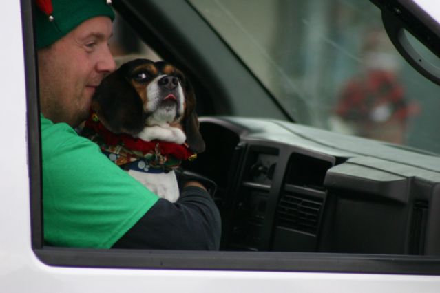 Animal shelter accepting donations during parade