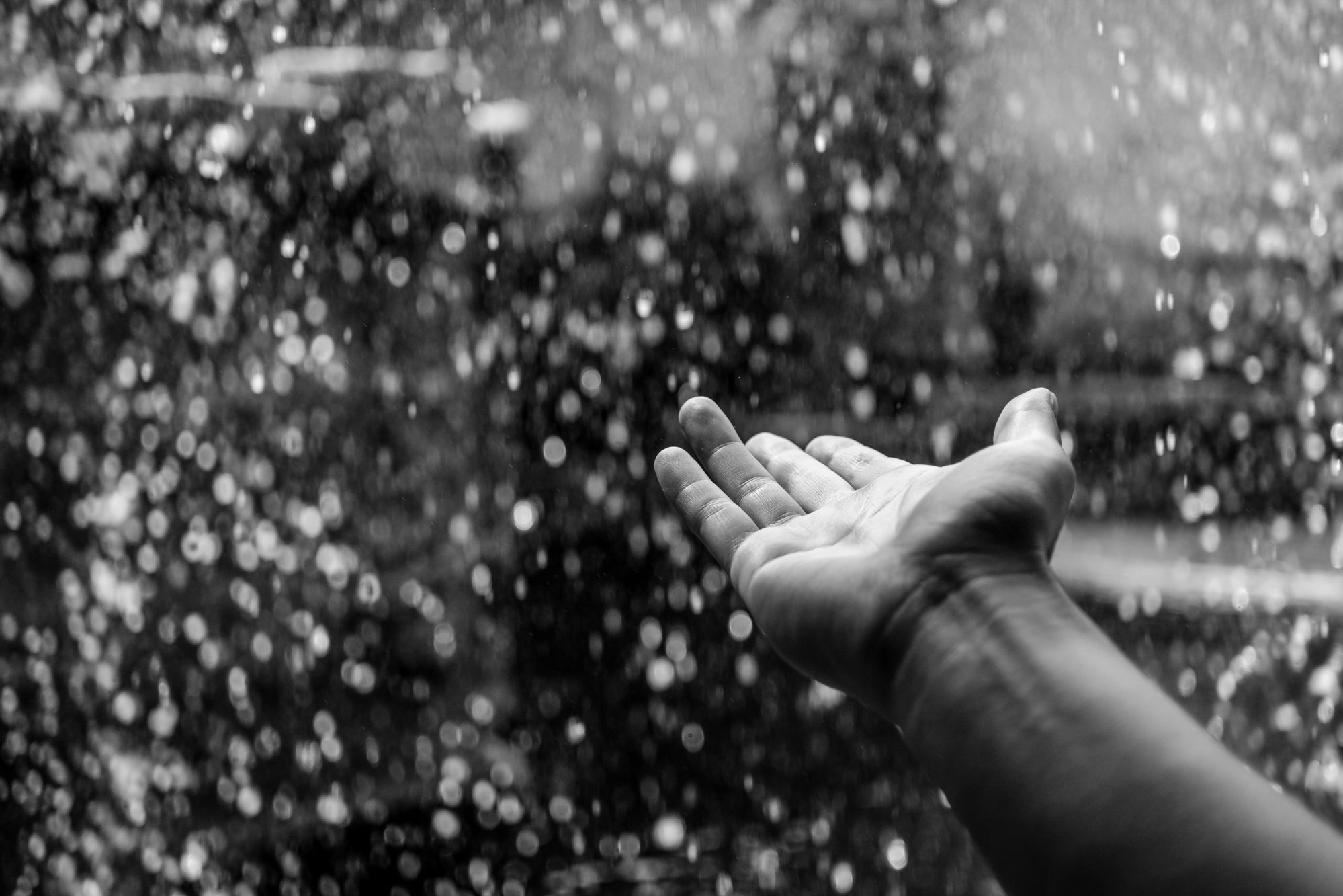 Heavy rain and gusty winds expected