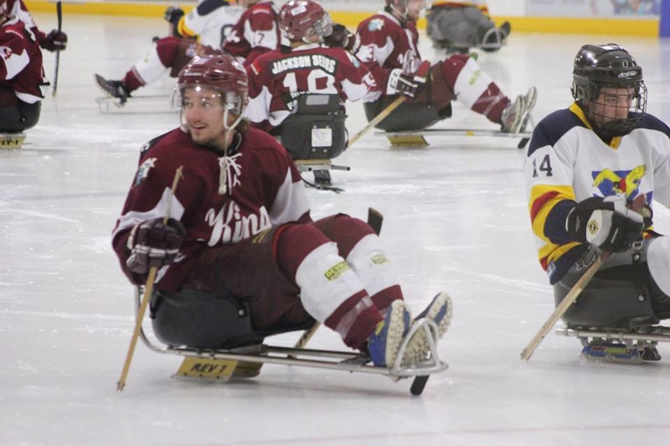 sledge hockey 2
