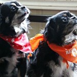 Sammy & Penny