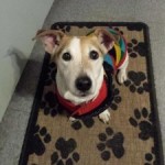 Roxy