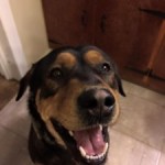 Mojo