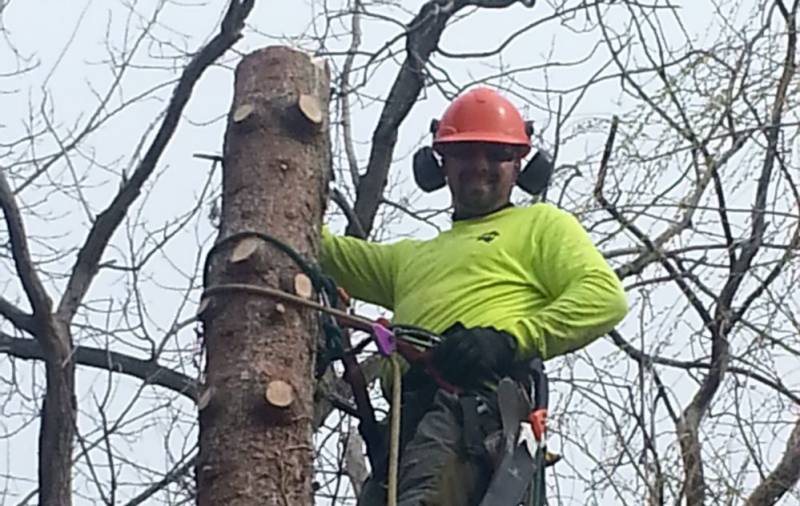 CK Tree Care: Professional, trained, and equipped for the job.