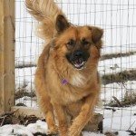 Mikka 