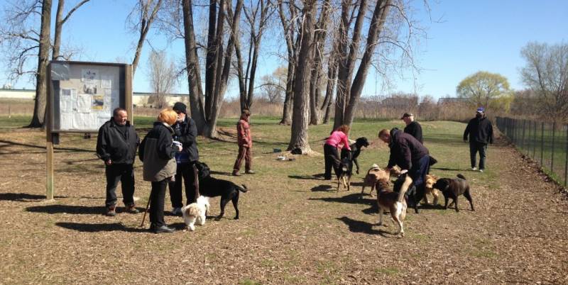 Wallaceburg dog park reopens