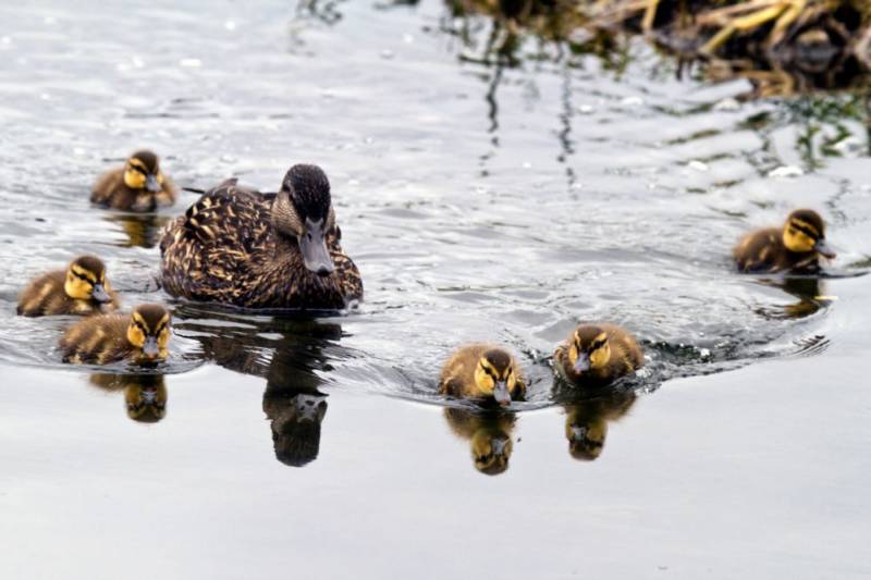 Loving spring, but looking forward to summer