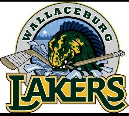 Lakers set to hold summer golf tourney