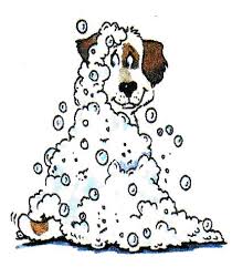 Dog and Cat grooming at K9 Klips!