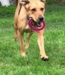 Lucy