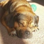 Otis