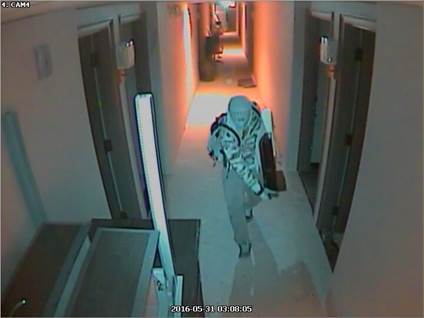 Police looking to ID thieves