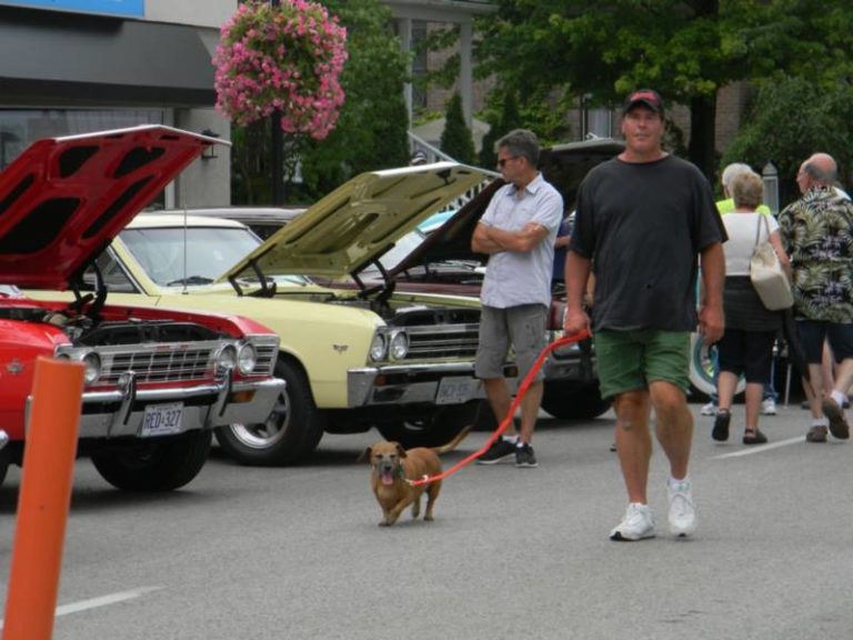 Cars, boats and fun at WAMBO 28 – See Photos