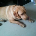 IMG_20160811_141941
