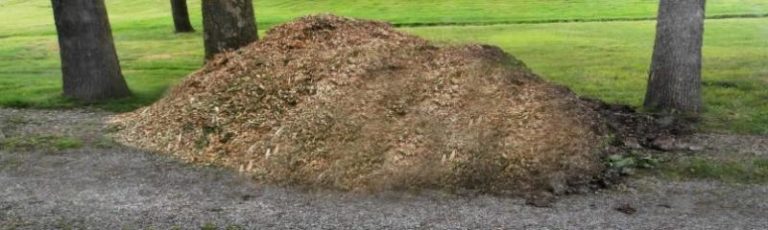 Need Wood chips? Call CK Tree Care 519-401-2973