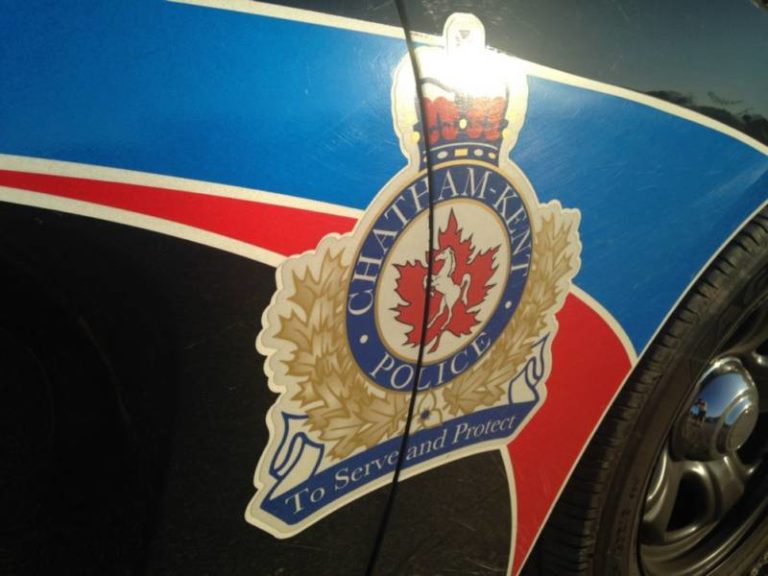 Hair pulling incident in Wallaceburg leads to charges