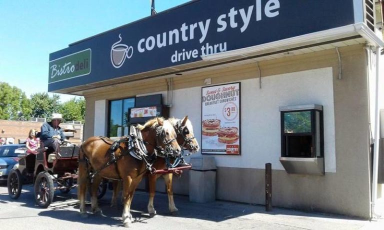 Baseball dreams, horses in Wallaceburg, world news