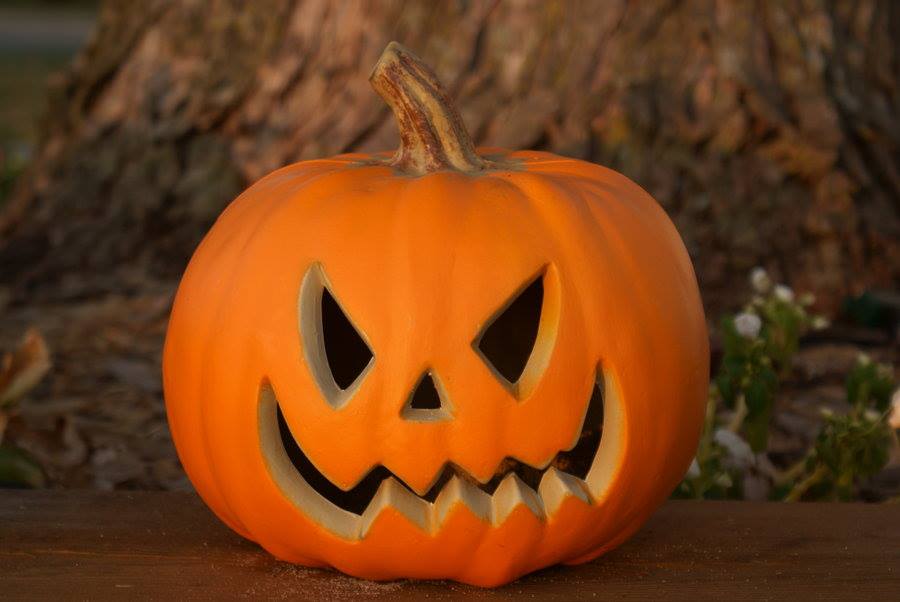 Have fun at ghastly games like Pumpkin Bowling, Halloween Bingo and Pin the...