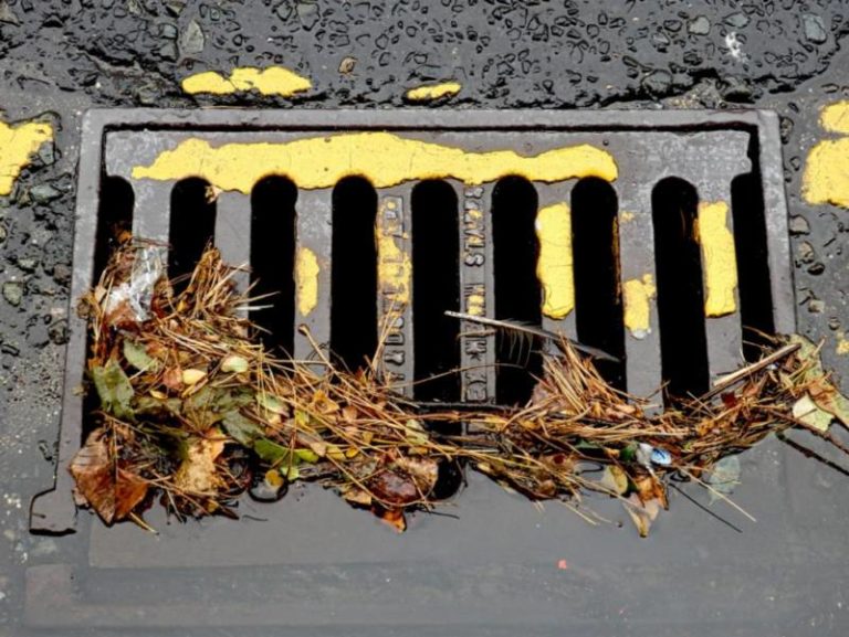 Wheatley yard waste depot to offer extended weekend hours for storm cleanup