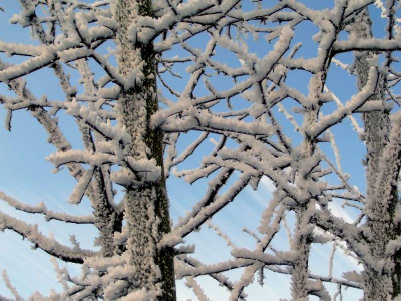 Snowfall warning issued in ChathamKent