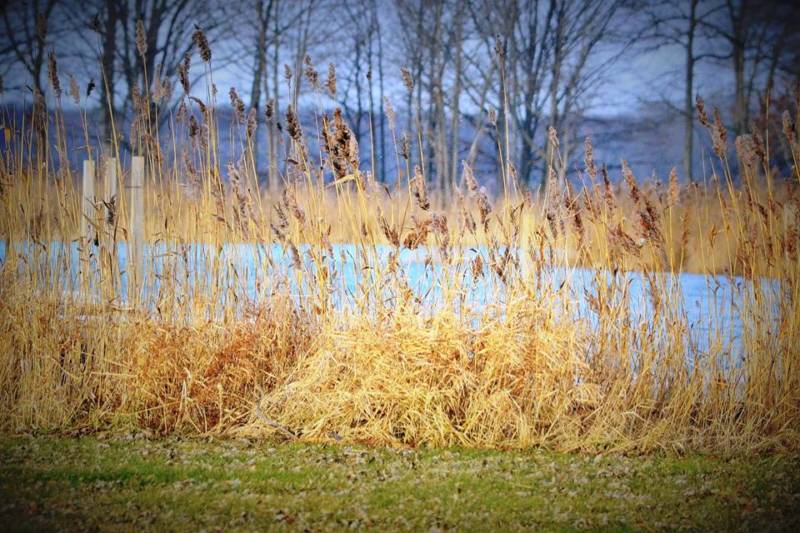 Christmas cards for veterans, thunder & lightning in January